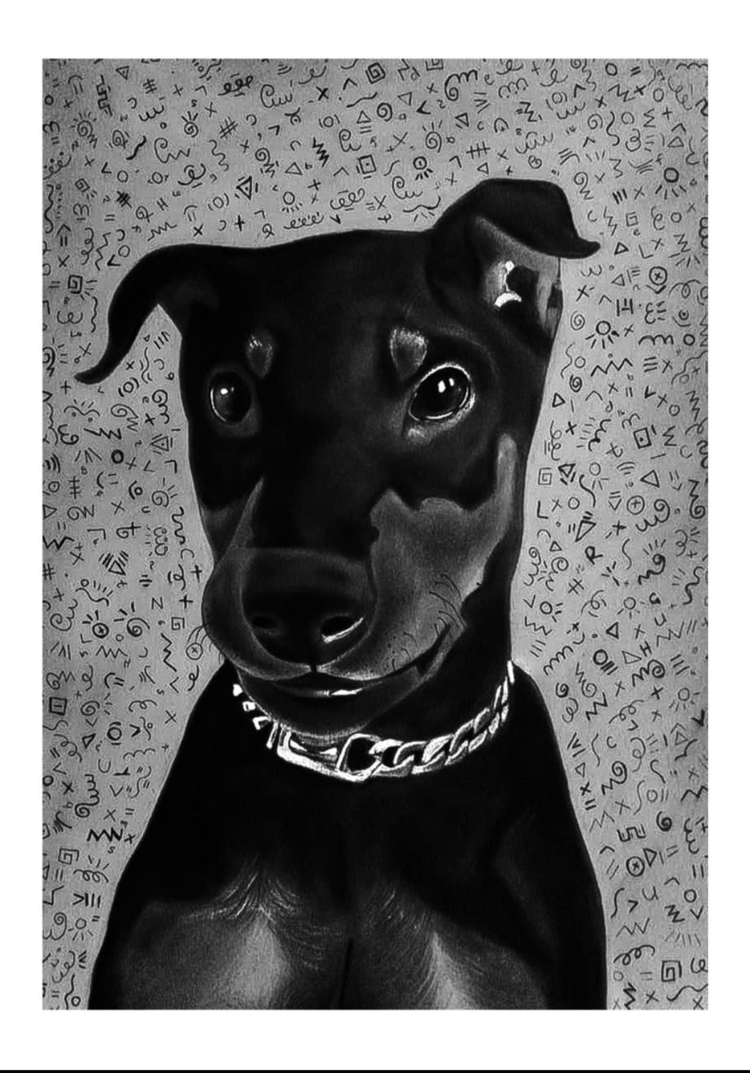 Hugo the doberman